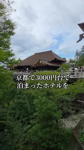 トトロのTikTok投稿