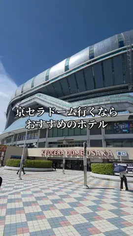 トトロのTikTok投稿