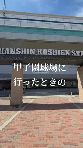 トトロのTikTok投稿