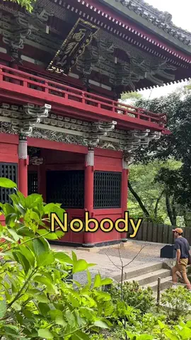 thattravelguyのTikTok投稿