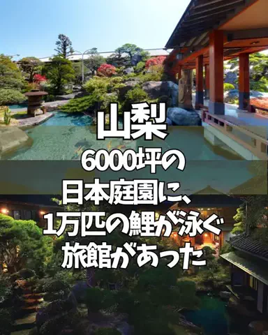 コスパ宿のTikTok投稿