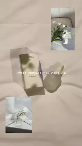 anna / 안나のTikTok投稿