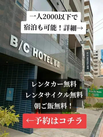 トトロのTikTok投稿