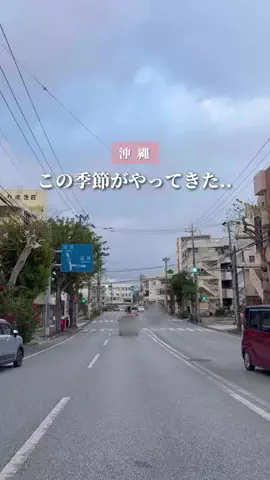 ちいのTikTok投稿