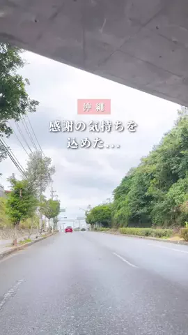 ちいのTikTok投稿
