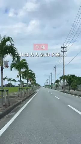 ちいのTikTok投稿