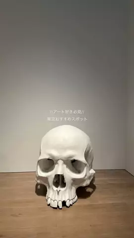 なみちゃん旅のTikTok投稿