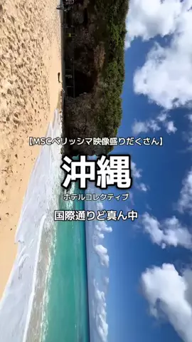 1QUESTION / JAPANのTikTok投稿