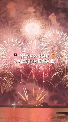 なみちゃん旅のTikTok投稿