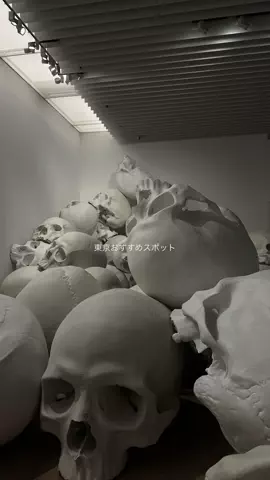 なみちゃん旅のTikTok投稿