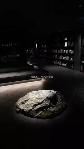 なみちゃん旅のTikTok投稿