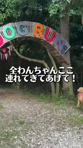 Jeanny Abigan HitosugiのTikTok投稿