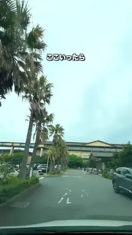 Jeanny Abigan HitosugiのTikTok投稿