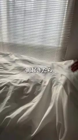 うちまる【今流行ってるアイテム紹介】のTikTok投稿