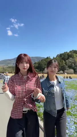 ちゃをのTikTok投稿