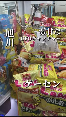 きたごはん🍚札幌グルメ、スポットのTikTok投稿