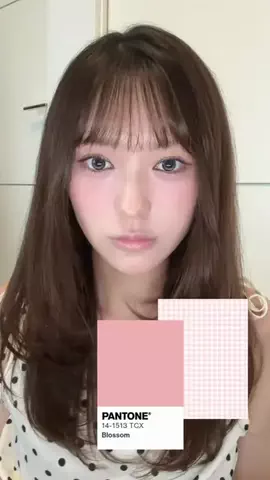 百のTikTok投稿