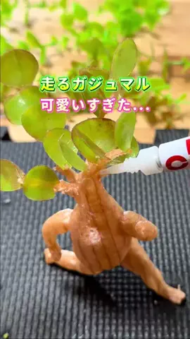 COCO | 暮らしを彩るアイデア🌿のTikTok投稿