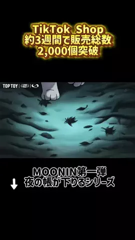 カーニャランドのTikTok投稿