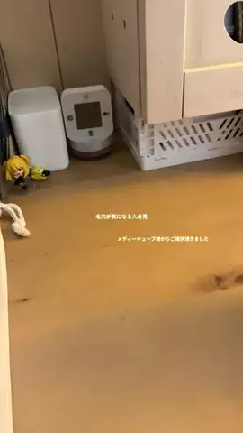 蛍のTikTok投稿