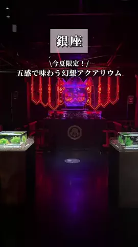 Toriko｜東京発のイベント&絶景のTikTok投稿