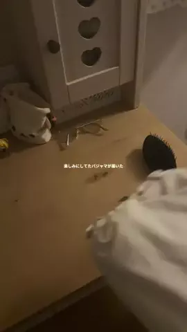 蛍のTikTok投稿