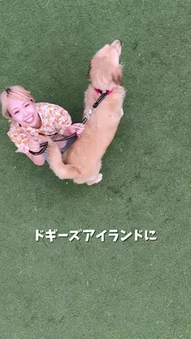 おにゅこじハウスのTikTok投稿
