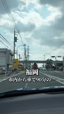 あすグルメ福岡のTikTok投稿