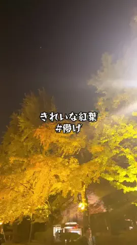 晃菜（あきな）🧸🌊のTikTok投稿