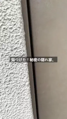 りょーすたぐらむ(FIREした男の究極コスパグルメ)のTikTok投稿