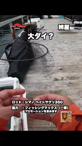 伊勢志摩つりとも研究所のTikTok投稿