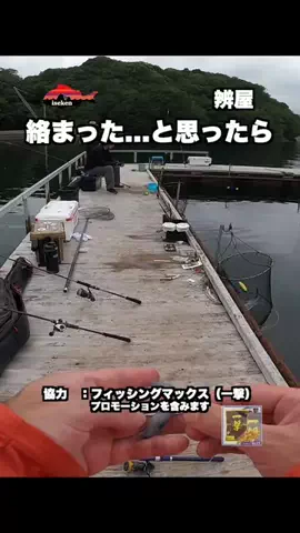 伊勢志摩つりとも研究所のTikTok投稿