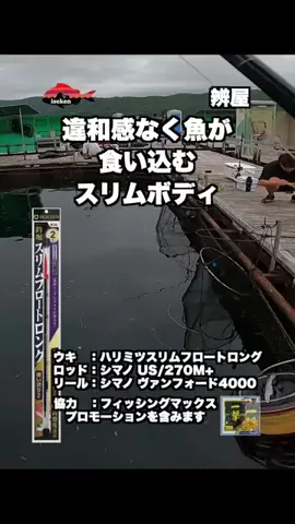 伊勢志摩つりとも研究所のTikTok投稿