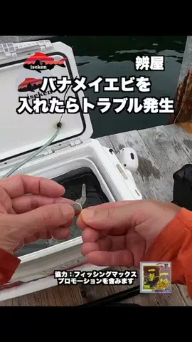 伊勢志摩つりとも研究所のTikTok投稿
