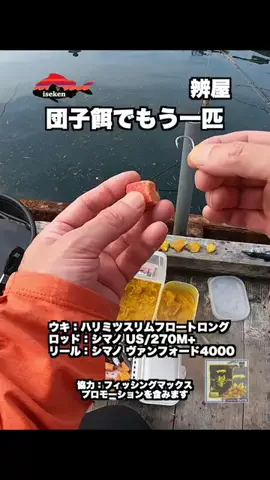 伊勢志摩つりとも研究所のTikTok投稿