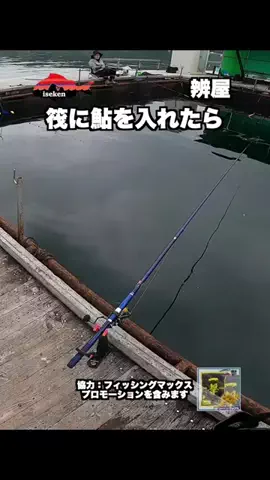 伊勢志摩つりとも研究所のTikTok投稿