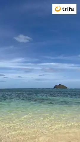 mihoのTikTok投稿