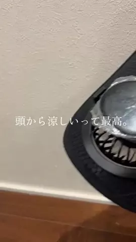 ４姉妹のTikTok投稿