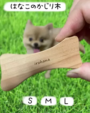 🍑もーち🌝🌷のTikTok投稿