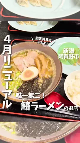 もぐもぐ新潟のTikTok投稿