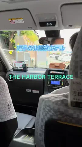 永遠の大学生(えいえんDD)のTikTok投稿