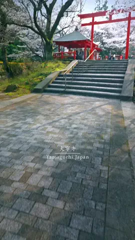 Reo🎥Travel Japan🇯🇵のTikTok投稿