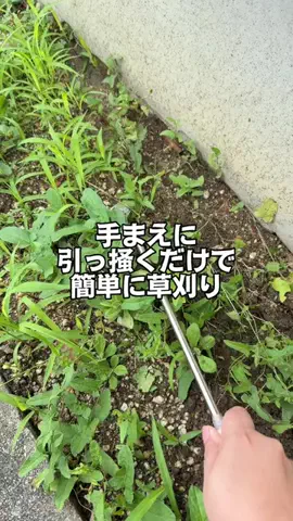 みやも人形のTikTok投稿