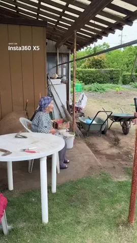 最強ばあちゃんときどき玄孫のTikTok投稿