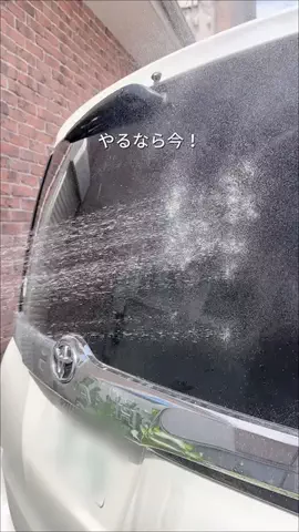 ぬりのTikTok投稿