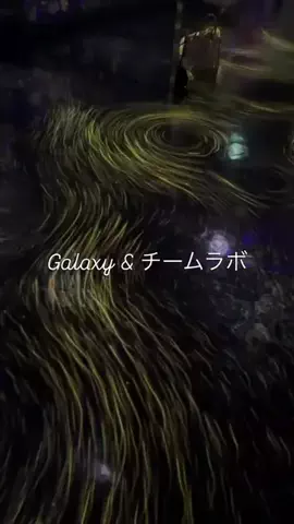 ノリのTikTok投稿