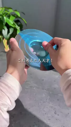 ちこのおうちのTikTok投稿