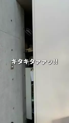 あいびー【オシャレのヒント発信】のTikTok投稿