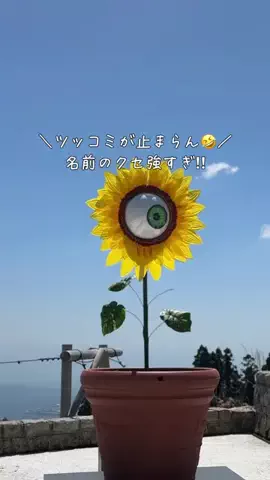 みぃ＊子連れ旅行好き関西ママのTikTok投稿