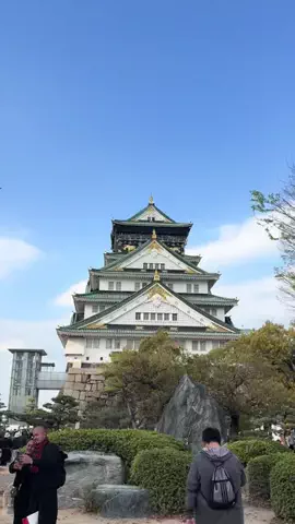 EXPOくまさんのTikTok投稿